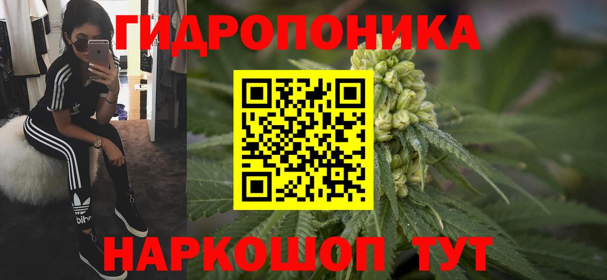 Марихуана OG Kush  Шишки марихуана планчик  Усть-Илимск  Вход с VPN  Шишки марихуана LSD WEED 